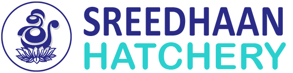Sreedhaan Hatchery - Hatchery
